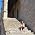 Thumbnail image of Gina Groom