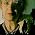 Thumbnail image of Anne Billson