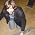 Thumbnail image of Chris Pink
