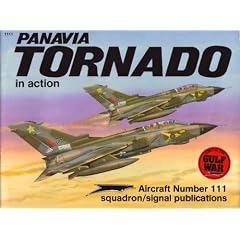 Panavia Tornado in Action (Aircraft No. 111)