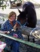 Doreen Haggard