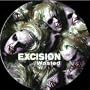 Wasted/Serious Business [12" VINYL] ~ Excision