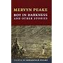 Boy In Darkness by Mervyn Peake