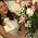 Thumbnail image of Deborah Dolen