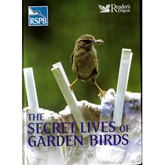 Secret Lives of Garden Birds