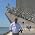 Thumbnail image of Brian D. Foy