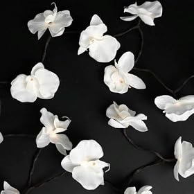String of 20 White Ornamental Orchid Christmas Fairy Lights 3.5m