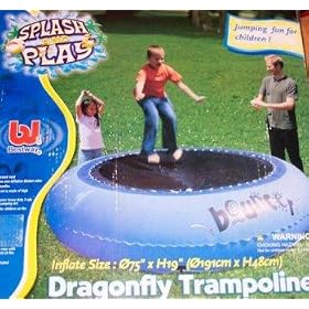 Dragon Fly trampoline pool