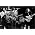 Thumbnail image of The Beatles