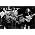 Thumbnail image of The Beatles
