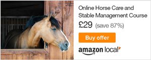 Online Horse Care and Stable Management Course