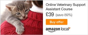 Online Veterinary Support Assistant Course