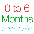 0 to 6 Months