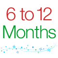 6 to 12 Months