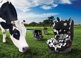 Cowmooflage covers