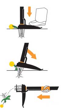 illustration Fiskars Lawn Weed Puller