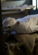 Mummifying Alan: Egypt�s Last Secret