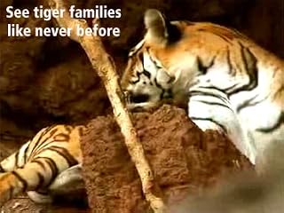 Click to watch this video