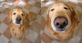 Fish-Eye Effect