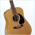 Acoustic Guitars at Amazon.co.uk