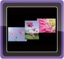 Automatic rotation of images