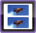Double Anti-blur with Optical SteadyShot