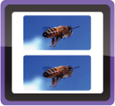 Double Anti-blur with Optical SteadyShot