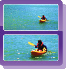 40X Optical / 2000X Digital Zoom