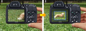 Tracking Auto Focus