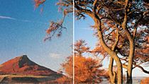 The BDP3200 provides sharper, clearer images with HDMI 1080p upscaling.