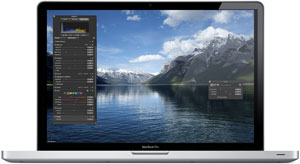 The 17-inch MacBook Pro uses the NVIDIA GeForce 330M integrated graphics processor