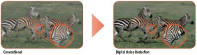 DVB-T Adaptive Noise Reduction