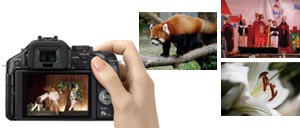 Using the electronic shutter completely eliminates AF and shutter noise