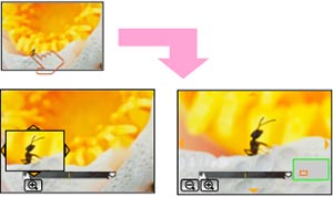 Enlarge the focus area up to 10 times