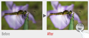 Image correction can be done in-camera after you have taken the shot