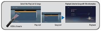 iPod Music Playback