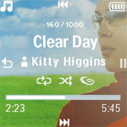 View album art on the 1.5 inch colour screen