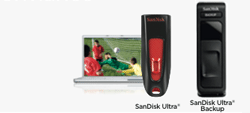 Performance Flash Drives