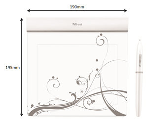 16937 Size and Dimensions