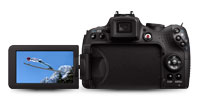 Canon PowerShot SX1 LCD detail