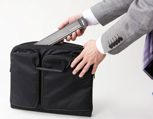Portable scanning