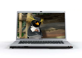 FW Series VAIO Laptop
