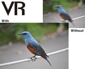 Reduce blur with the included 18-55mm VR lens