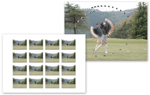 Merge Frames and Layout Print