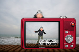 Dual Image Stabilisation