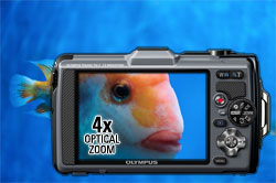 4x wide optical zoom
