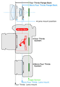 Half distance of the flange back compared to the Four Thirds. 