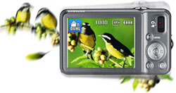 Dual Image Stabilisation