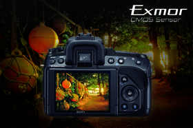High&ndash;speed Exmor RTM processing technology reduces noise so you can enjoy better picture quality even in low-light conditions