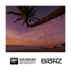 ISO 16000 maximum sensitivity with BIONZ processor noise reduction for natural-looking images, even in low light conditions. 